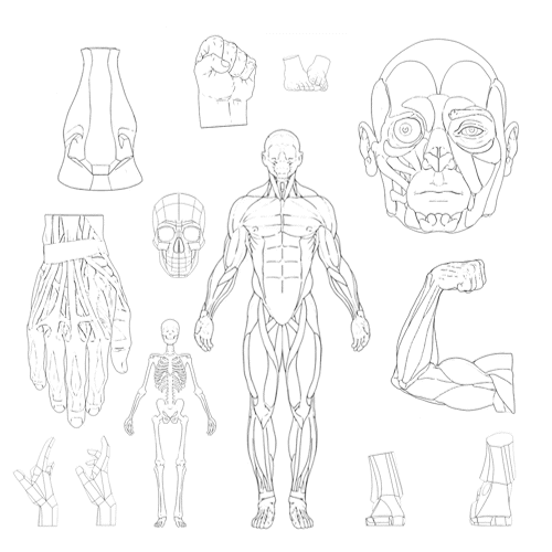 360° Turnaround Video Bundle