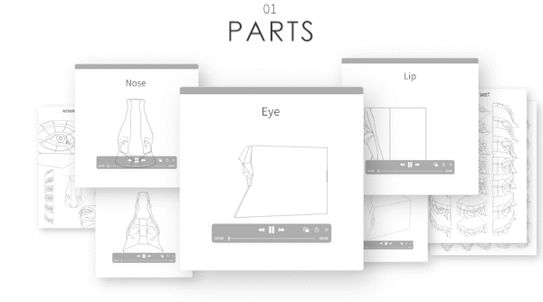 Turnaround_1_Head Parts