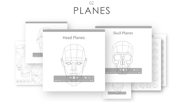 Turnaround_1_Head Parts