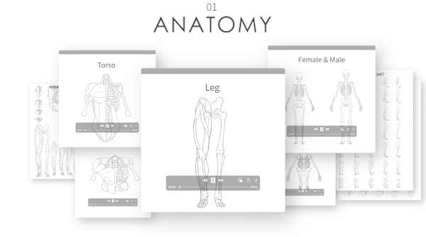 Turnaround_3_Body Basic