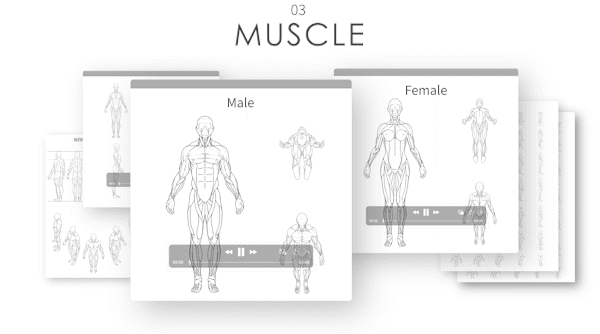 Turnaround_3_Body Basic