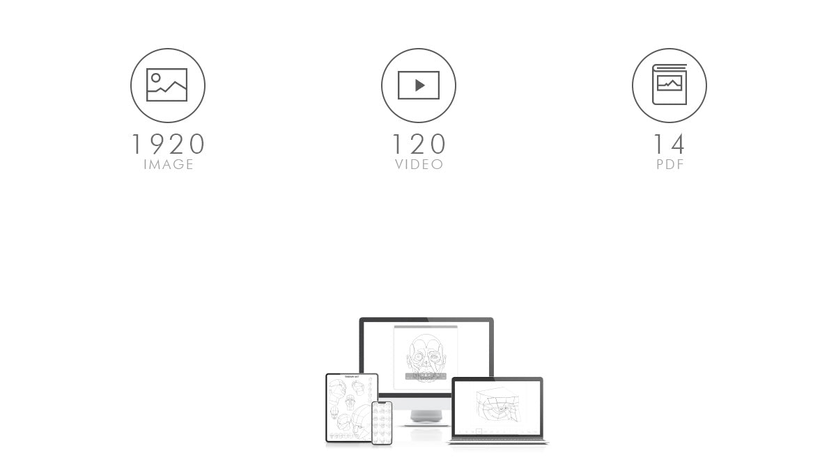 Vidéo de turnaround 360°