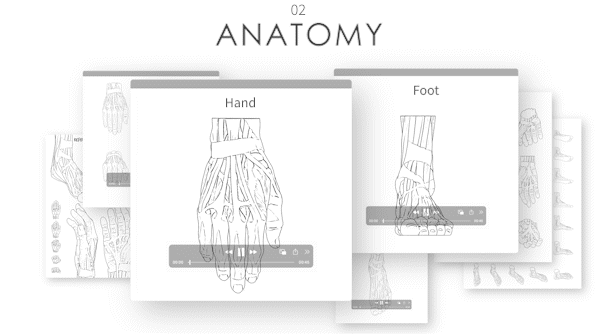 Turnaround_5_Hand & Foot