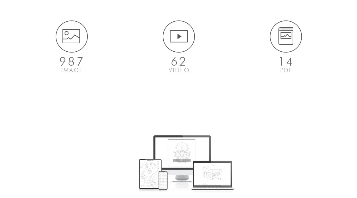 Vidéo de turnaround 360°
