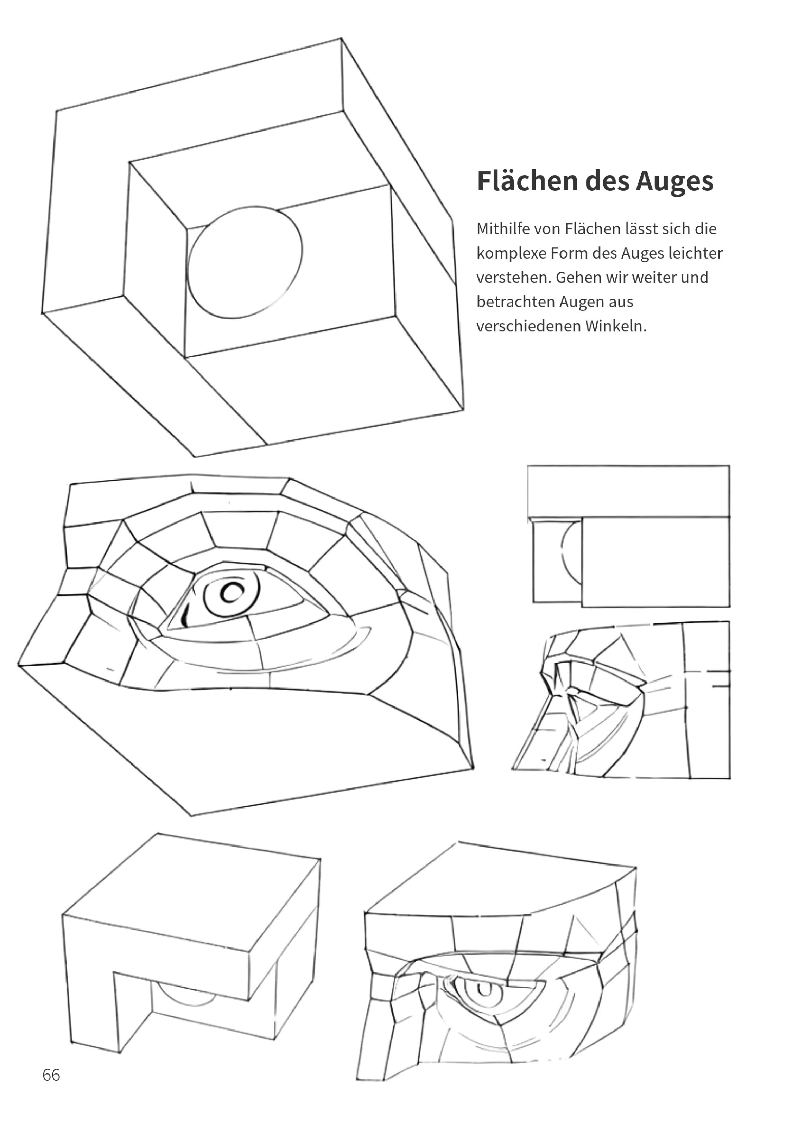 Flächen und Volumen
