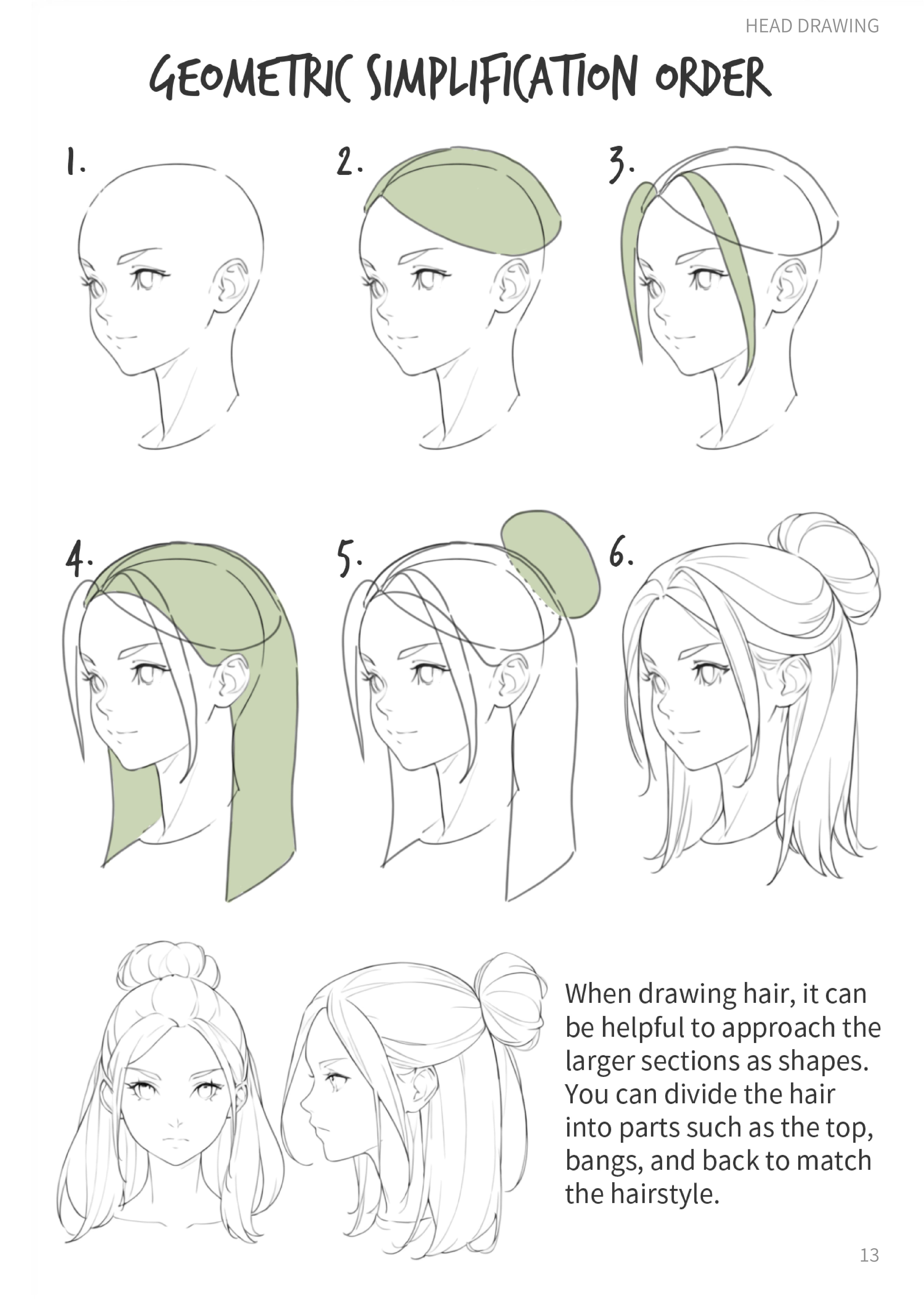 Hair Shape Sequence