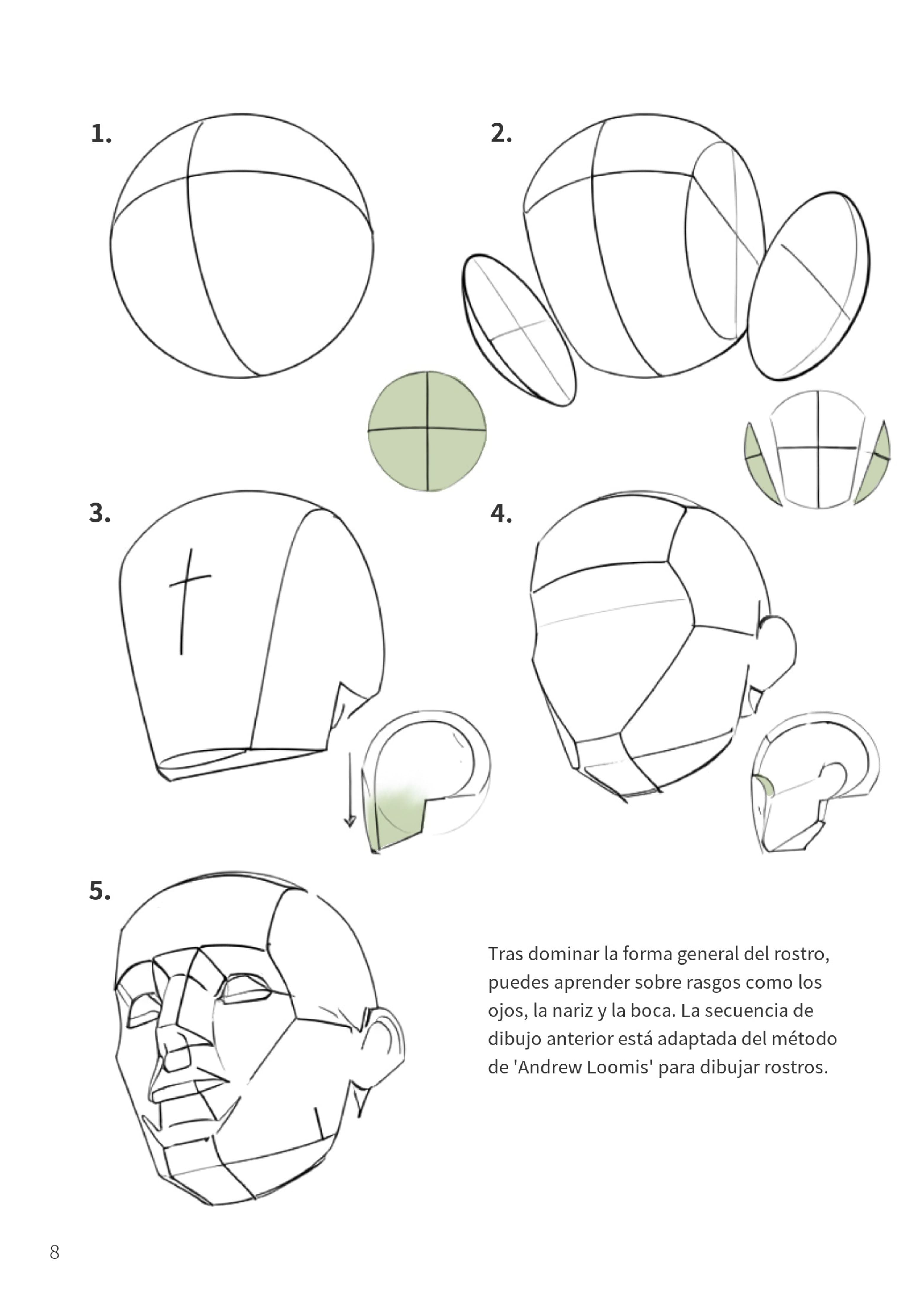Principios de forma