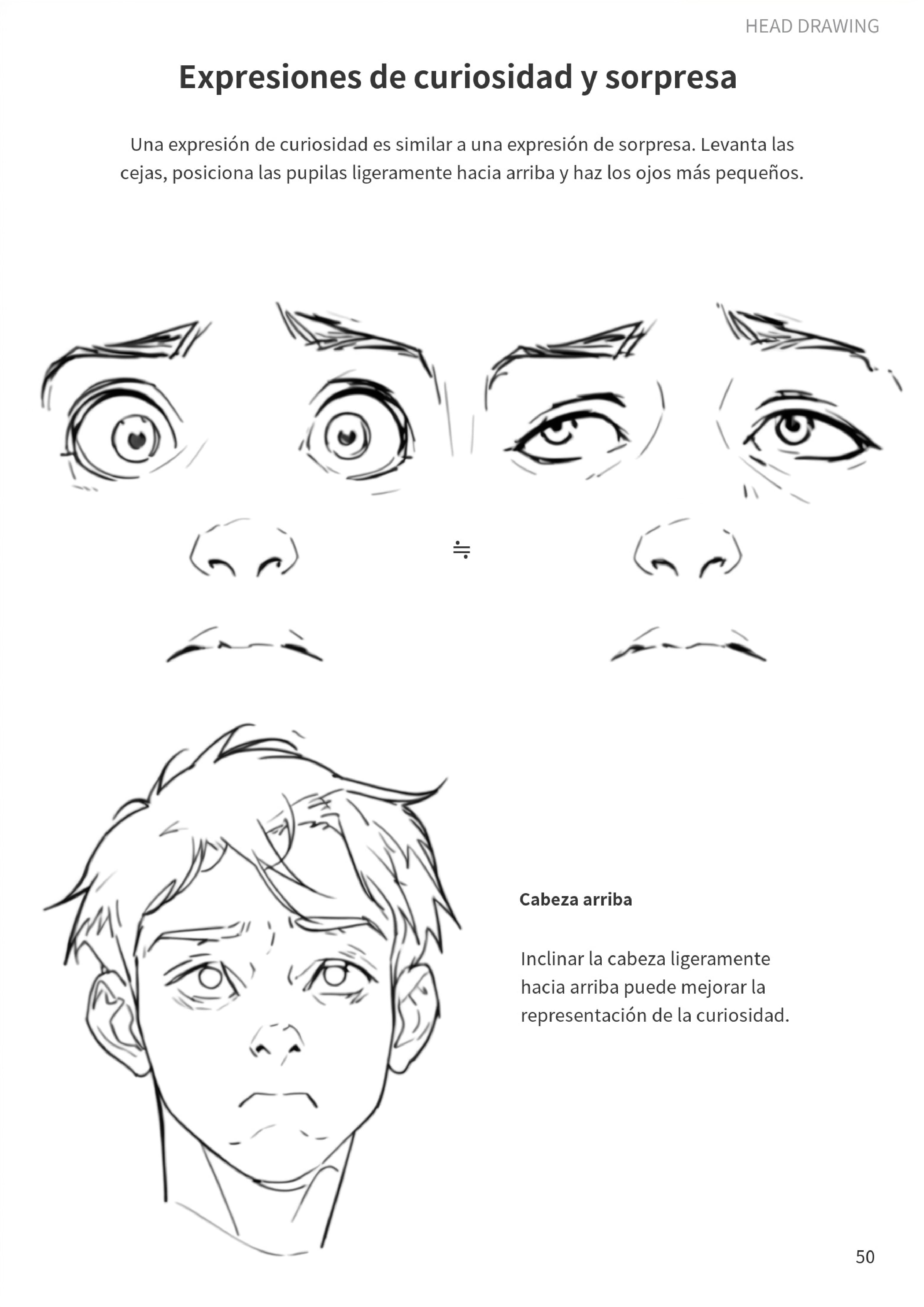 Curiosidad y asombro