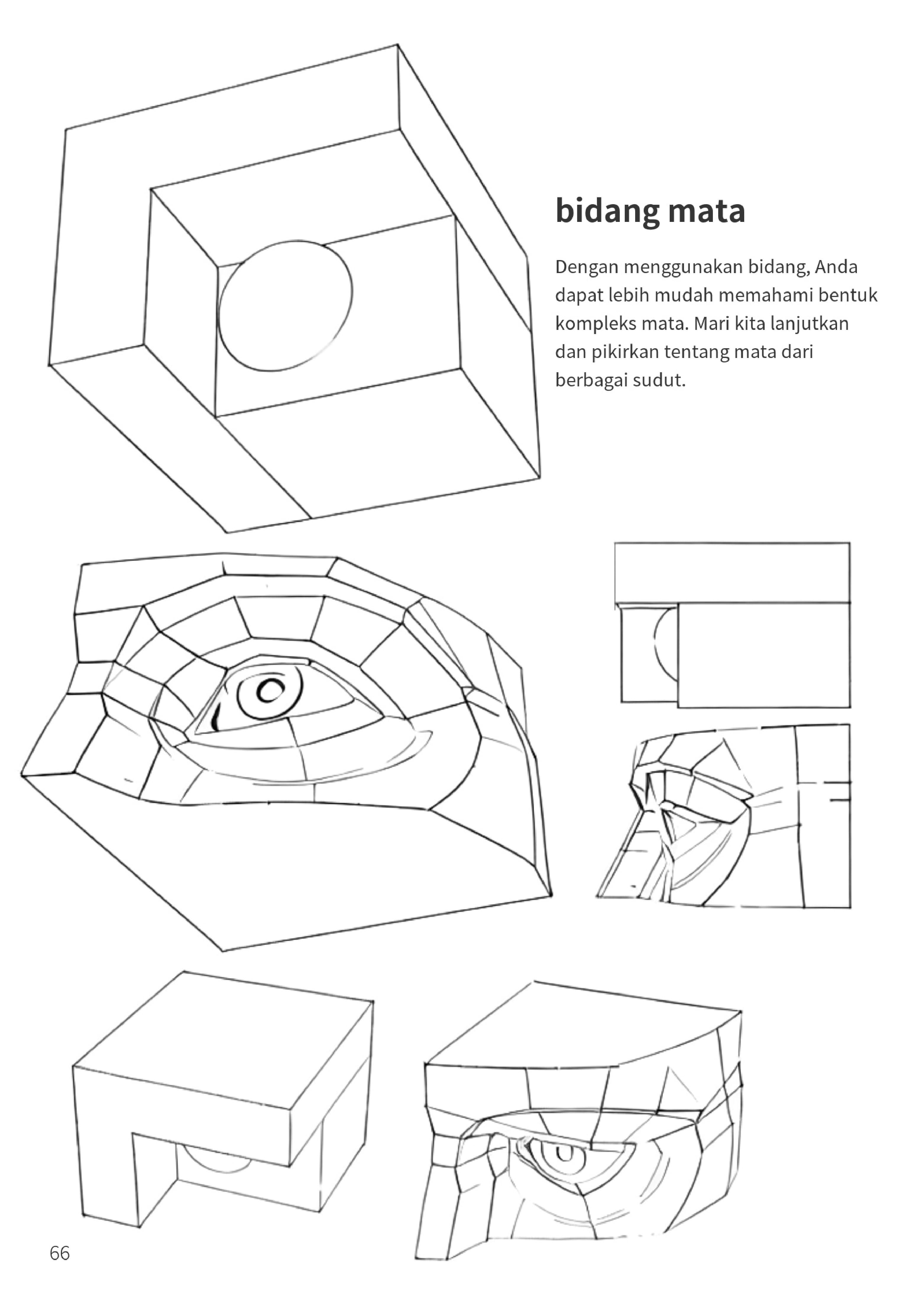 Bidang & Volume