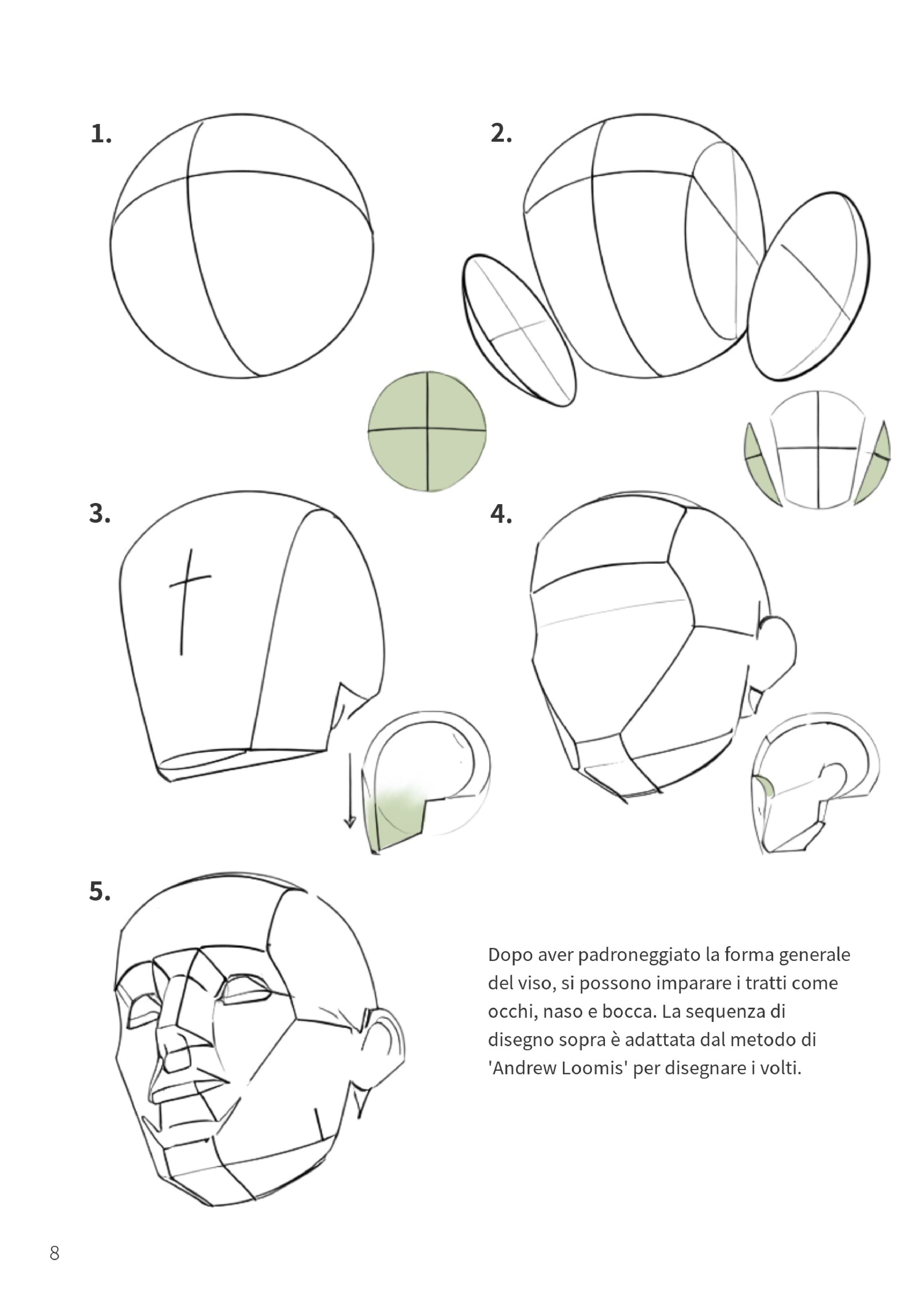 Principi della forma