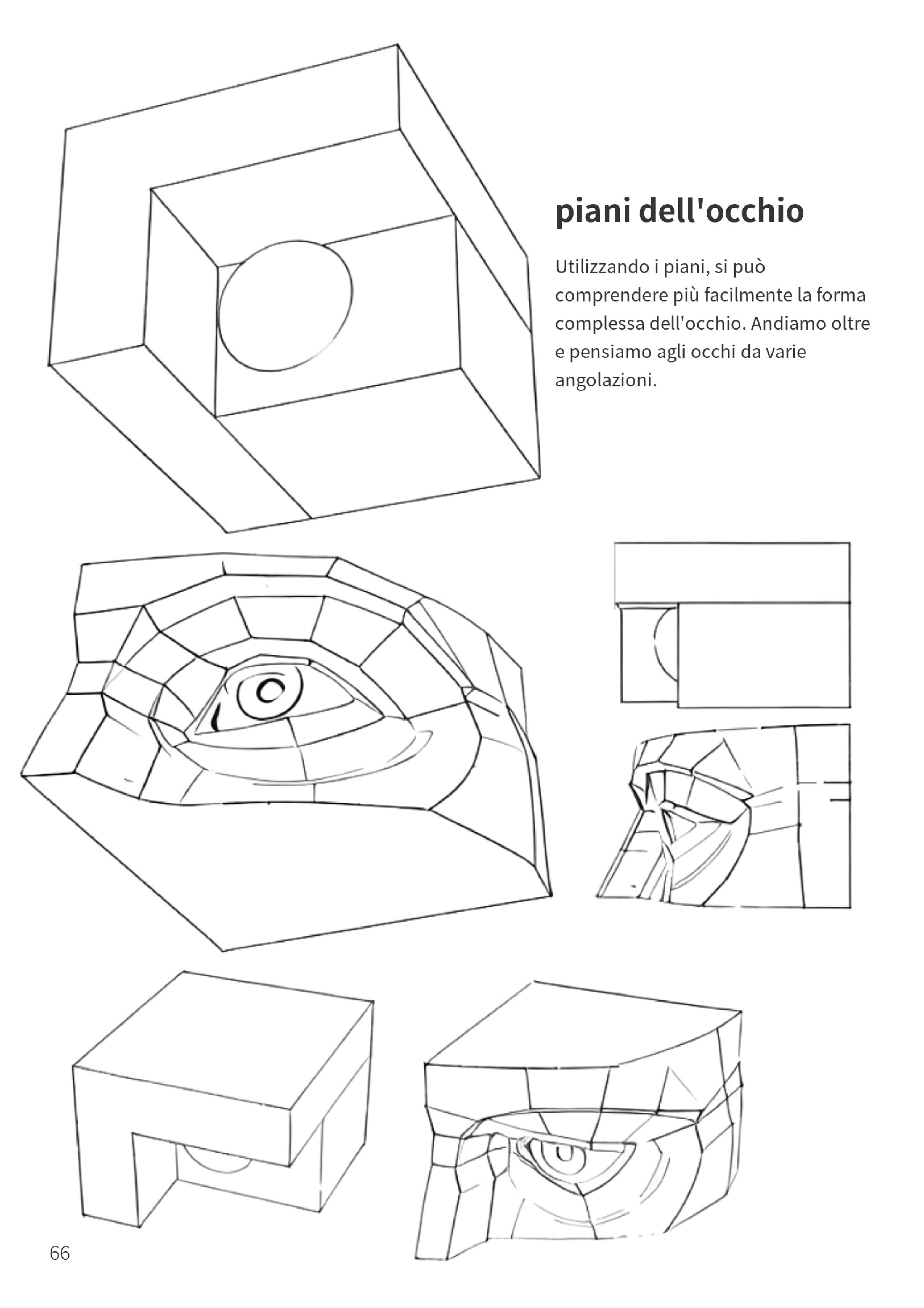 Piani e volume dell'occhio