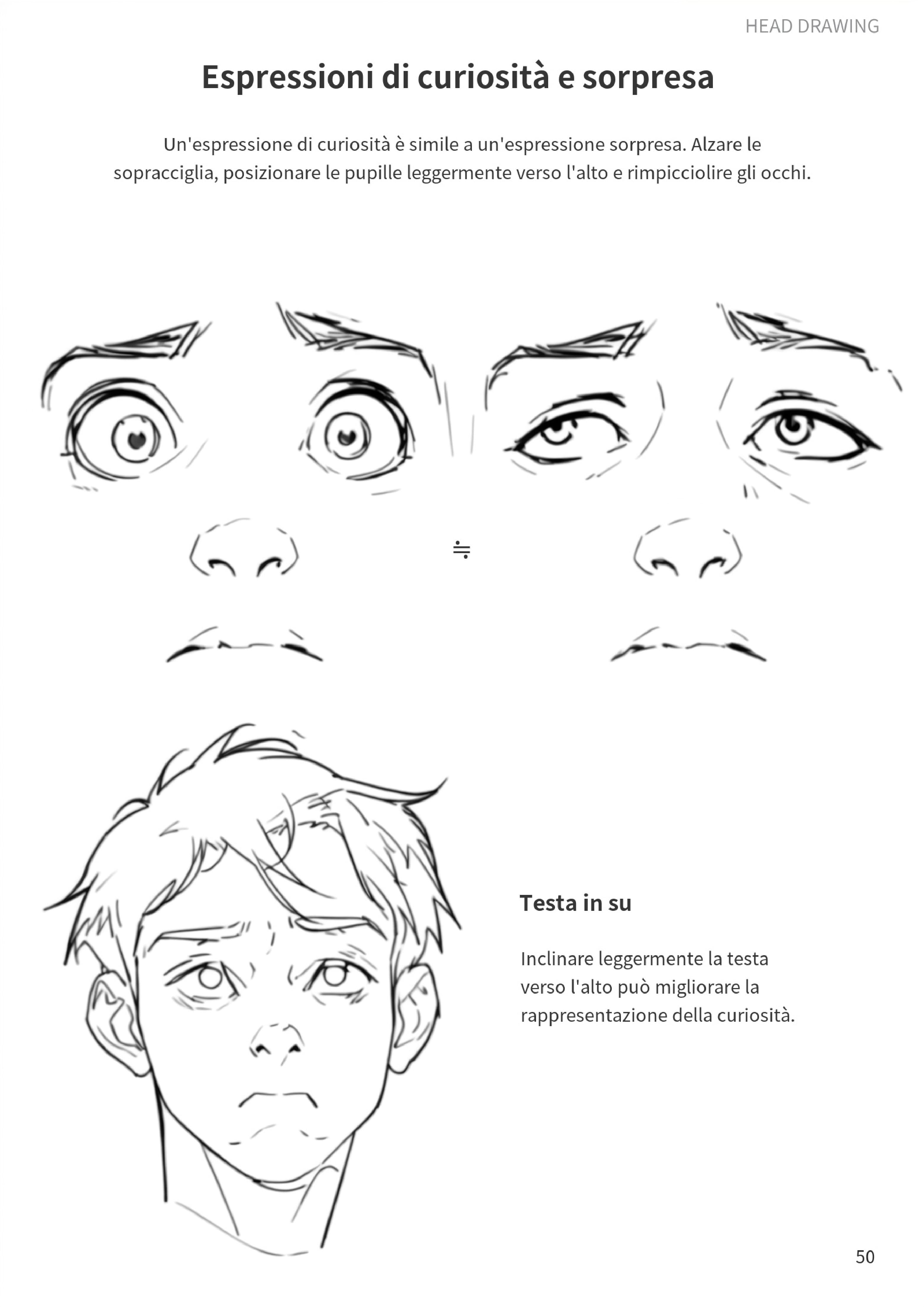 Curiosità e stupore