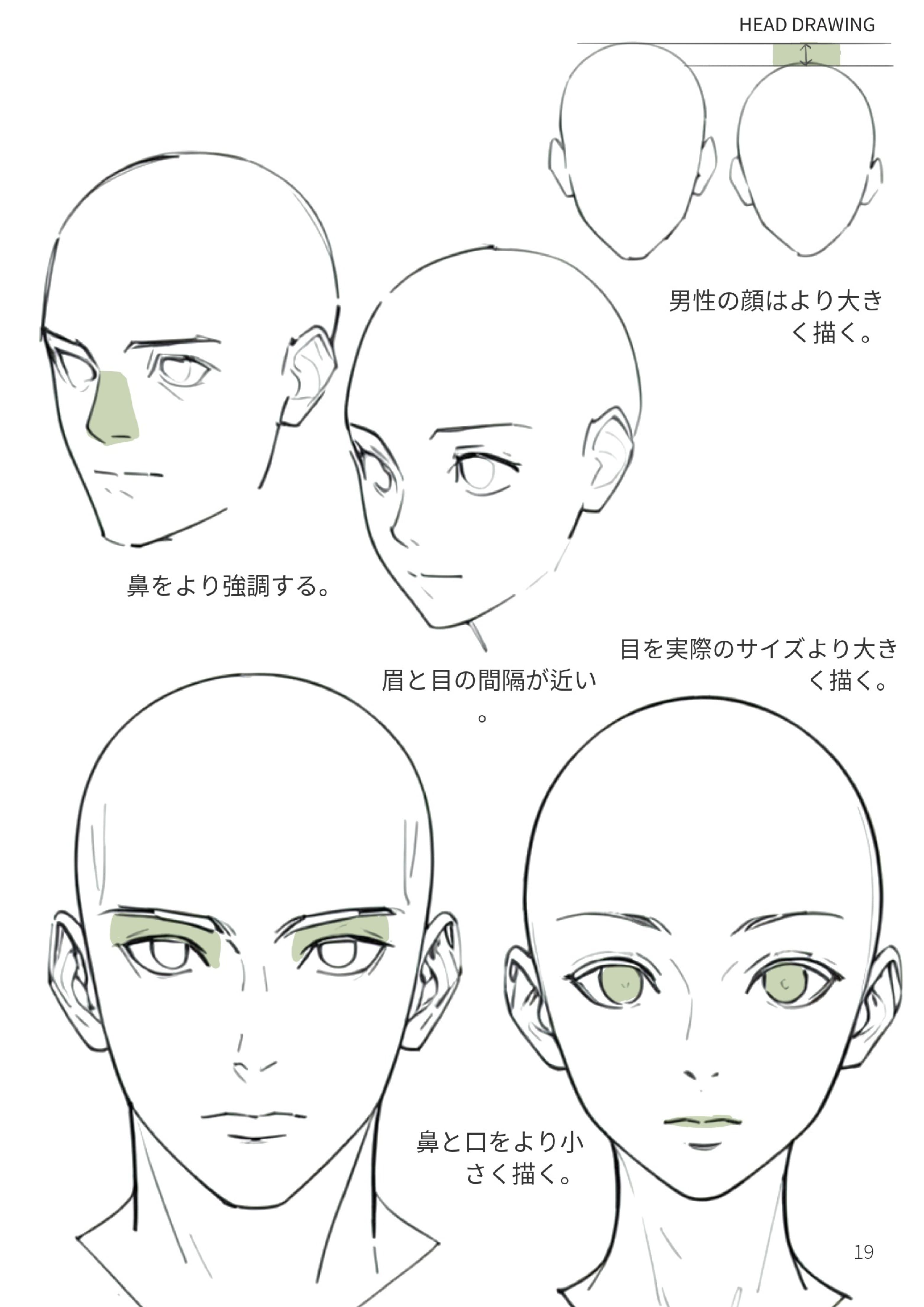 男女の顔の違い