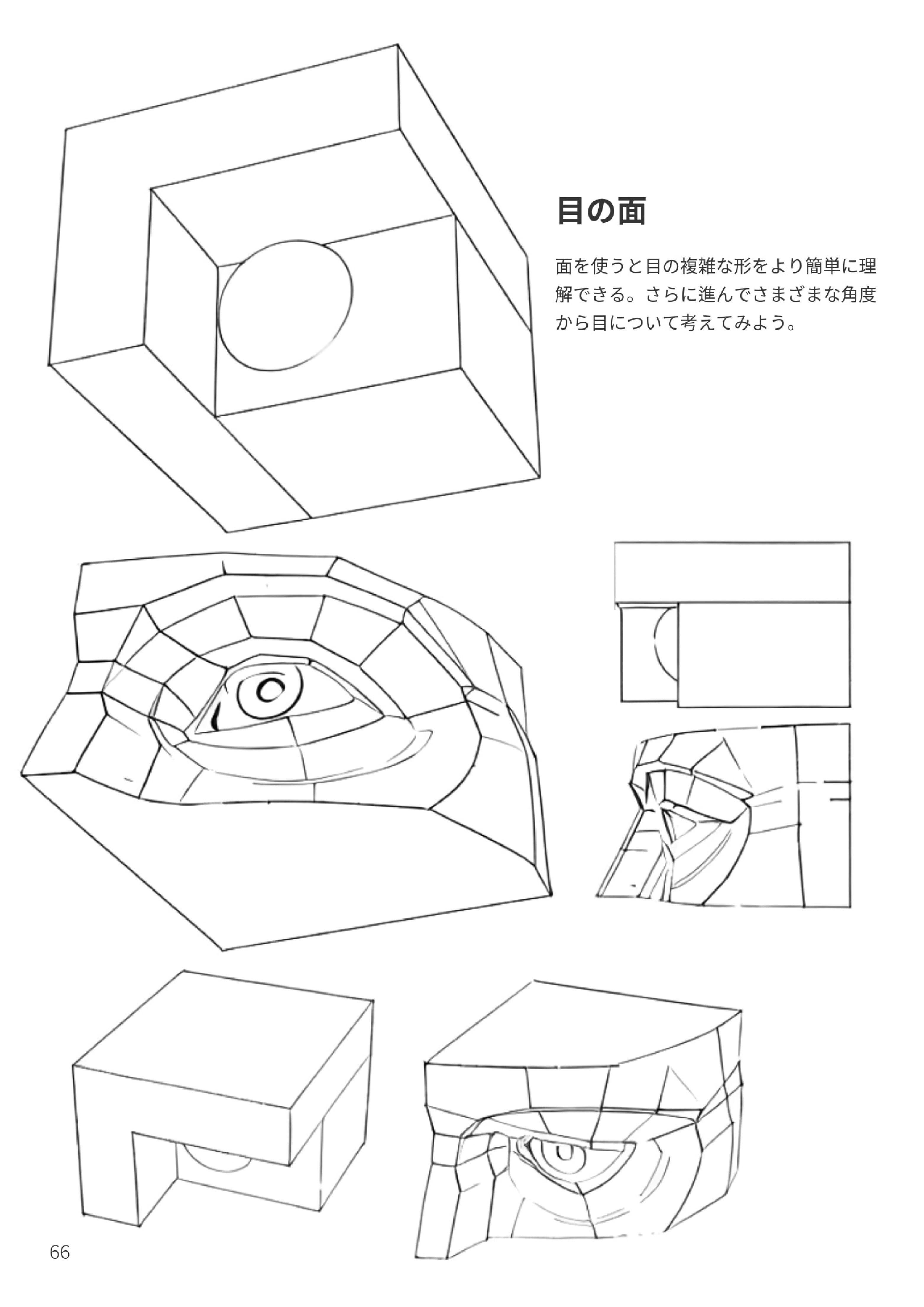 目の面と立体感