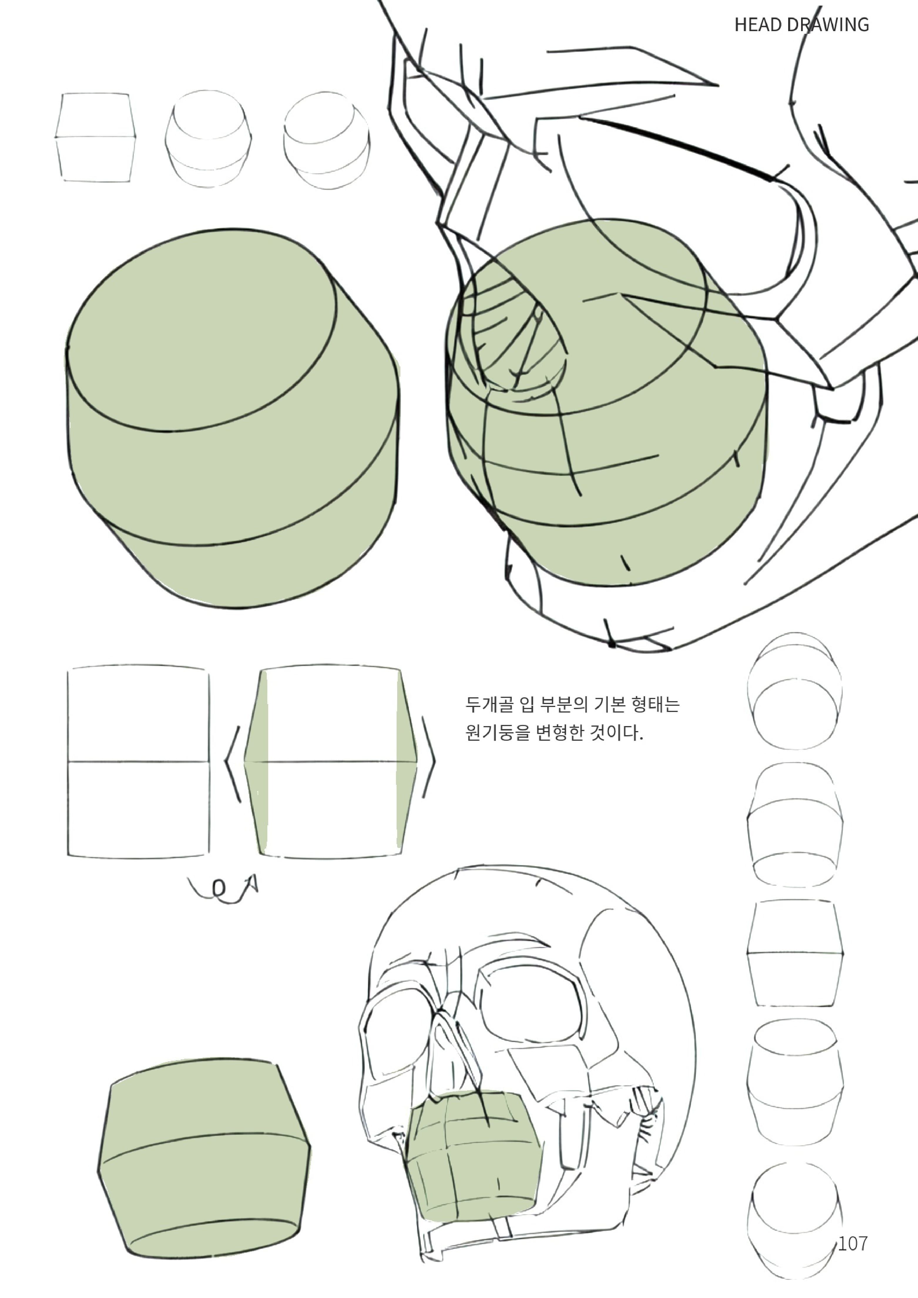 입의 구조와 표정