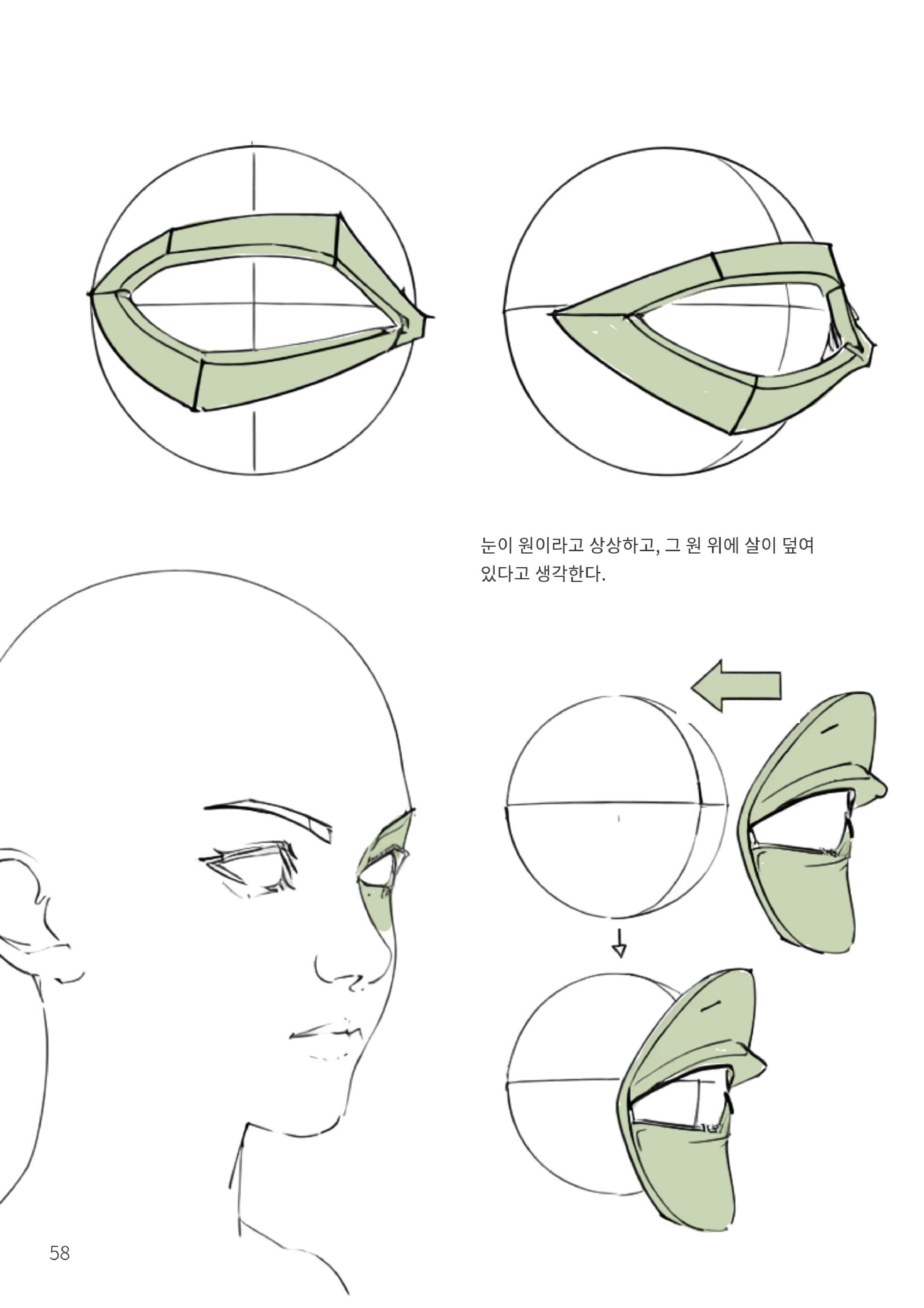 눈의 기본 구조