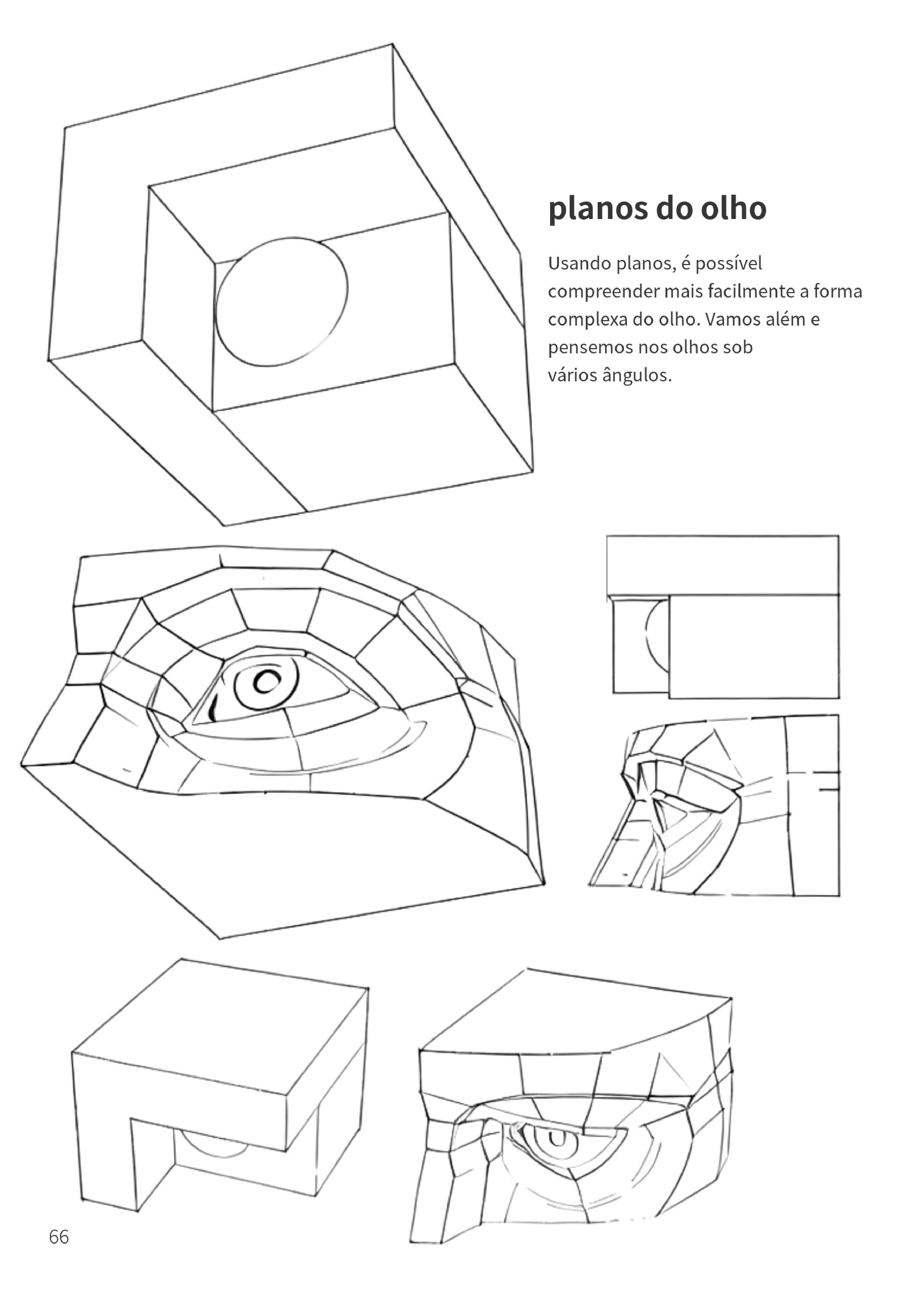Planos e volume do olho