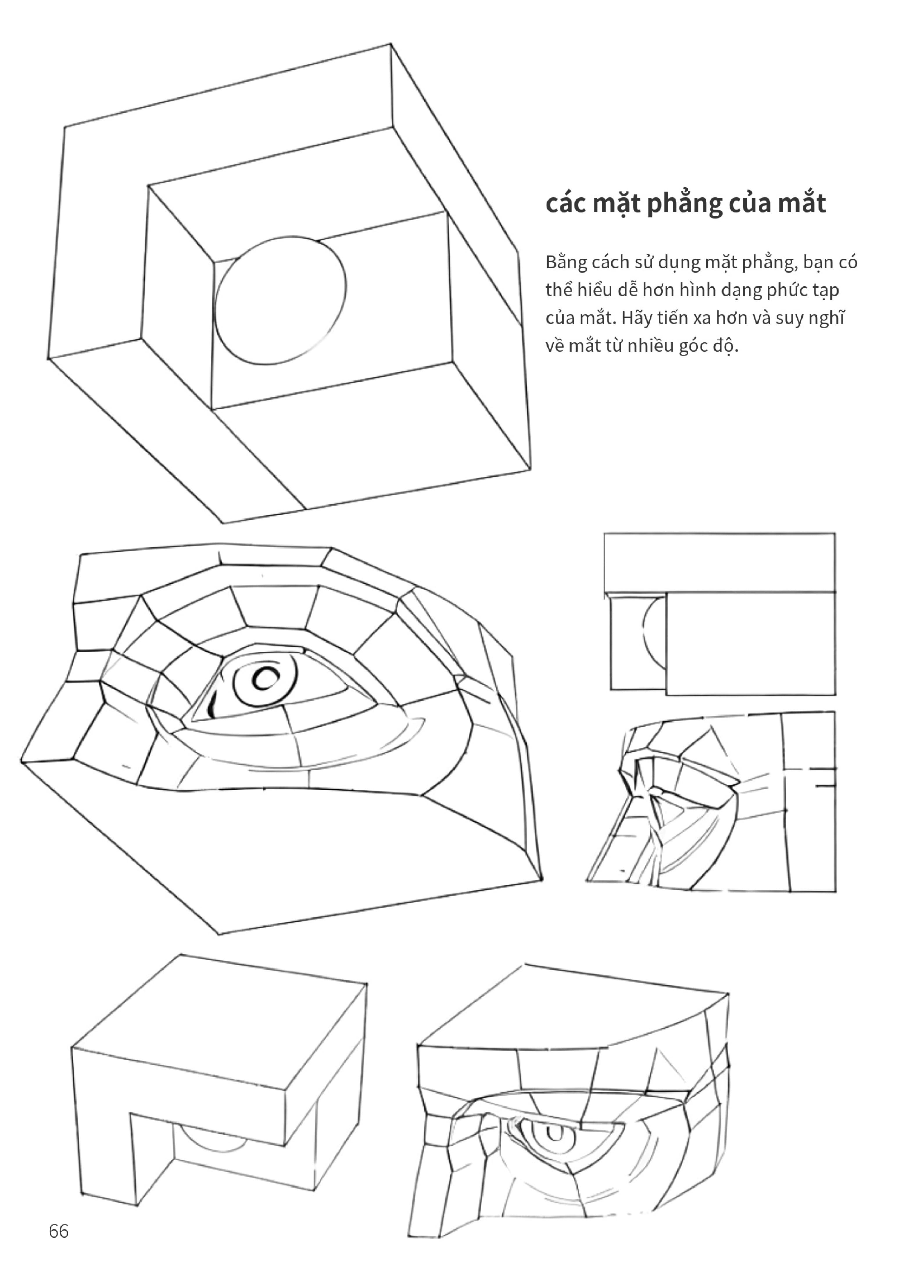 Mặt phẳng và khối mắt