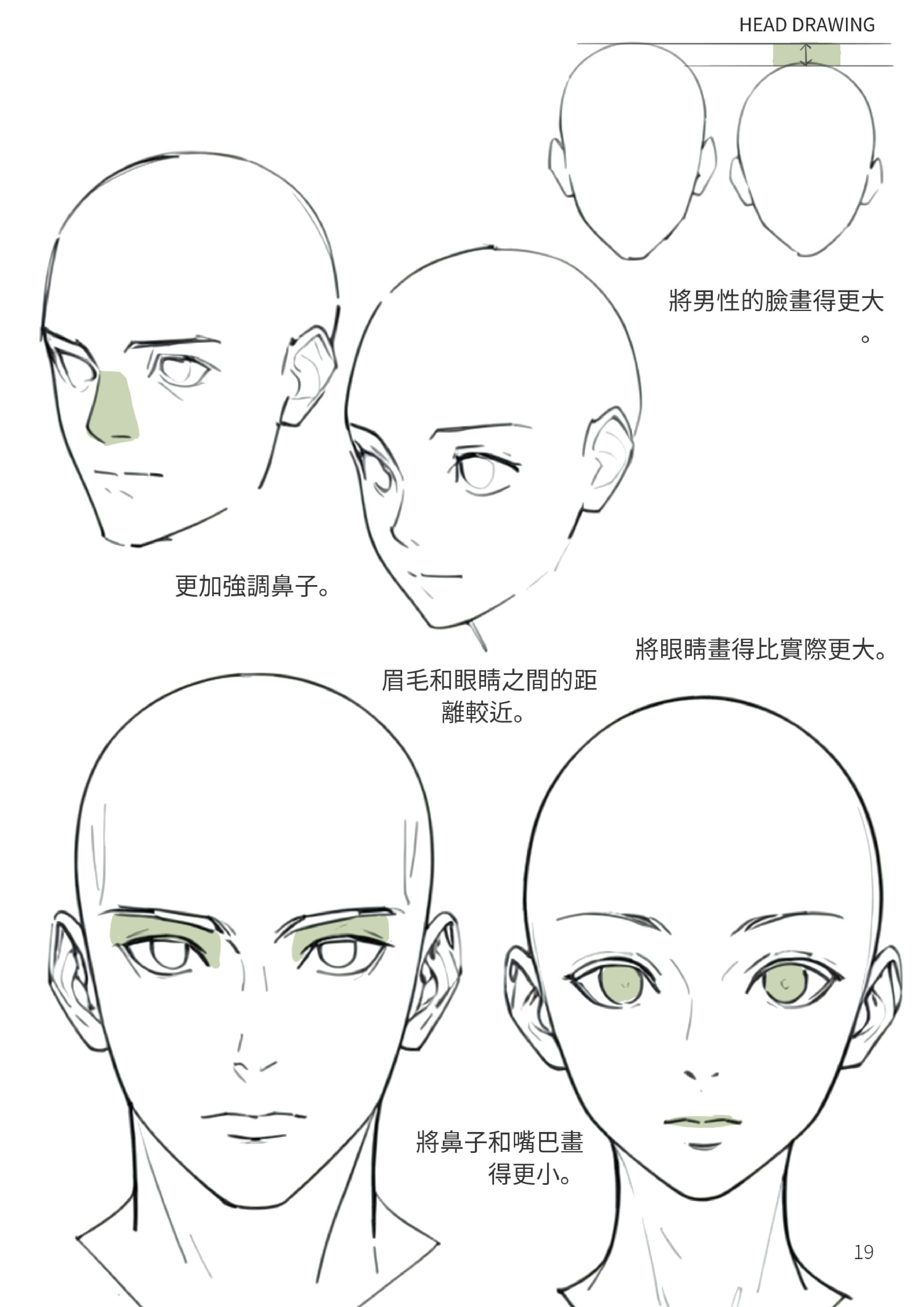 男女臉部差異